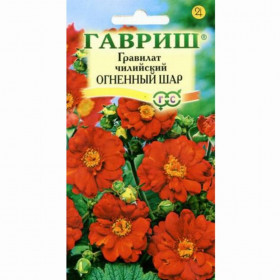 Огненый шар чилийский Ц(Г)