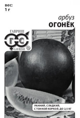 Огонек 1гр.Б(Г)