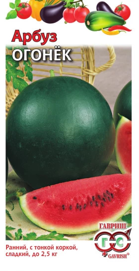 Огонек 1гр.Ц(Г)