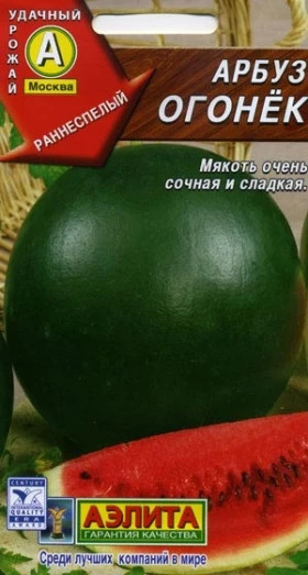 Огонек Ц(А) (623                      )