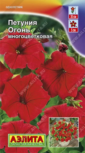 Огонь многоцв. Ц(А)