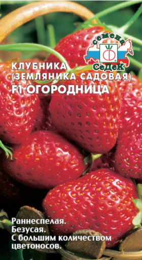 Огородница Ц(С)