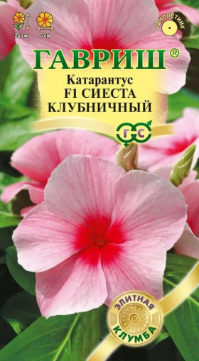 Сиеста клубничный  Ц(Г)