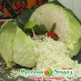 Сахарная Королева 50шт Ц(Н)