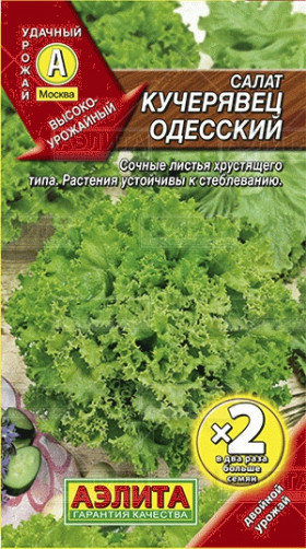 Кучерявец Одесский Ц(А)*2