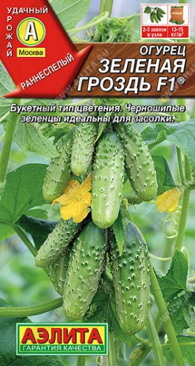 Зеленая гроздь Ц(А)