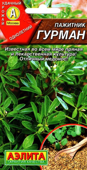 Гурман Ц(А) пажитник