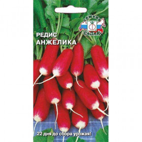 Анжелика Ц(С)