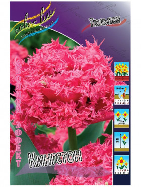 Кингстон 11/12 (2й эффект) 5шт