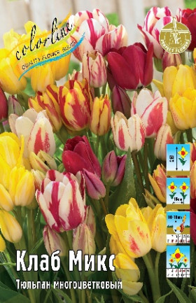 Клаб Микс 11/12 (мнгцв.) 7шт