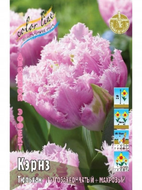 Кэрнз 11/+ (2й эффект) 7шт