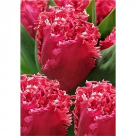 Ла Мур 11/12 (2й эффект) 7шт