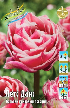 Летс Данс 11/12 (махр.поздн) 7шт