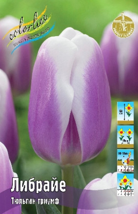 Либрайе 11/12 (триумф) 7шт