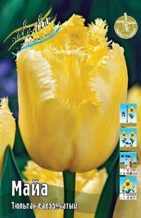 Майа 11/12 (бахр.) 8шт