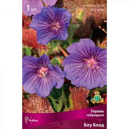 Блю Блуд 1шт