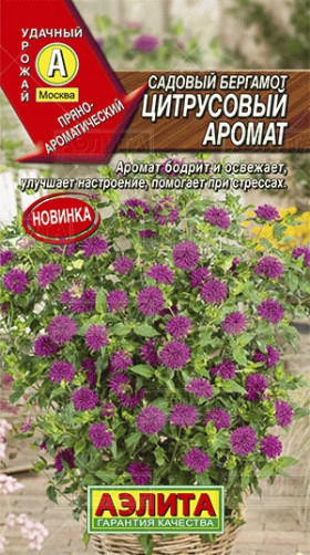 Окрошка Ц(А)