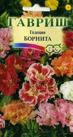 Борнита Ц(Г)