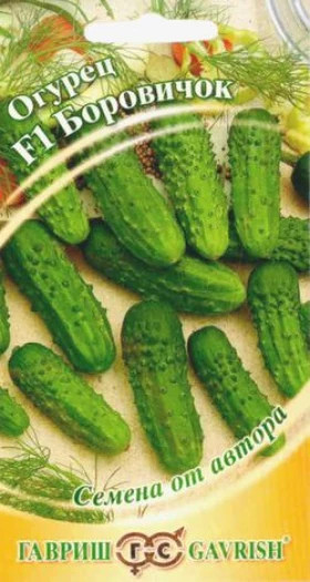 Боровичок Ц(Г)