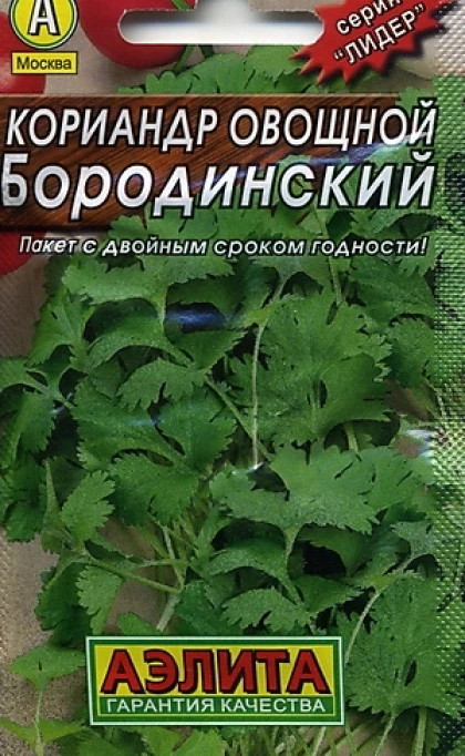 Кориандр бородинский описание сорта фото