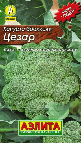 брокколи Цезар Лидер