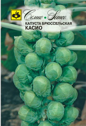 брюссельская Касио Семко