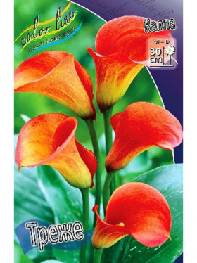 Треже 2 шт/уп