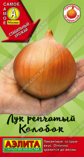 Колобок Ц(А) лук