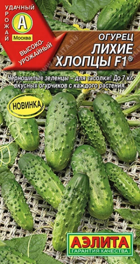 Лихие хлопцы Ц(А)