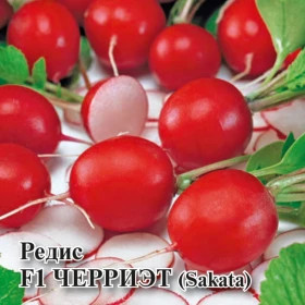 Черриэт 1000 шт Sakata Гавриш