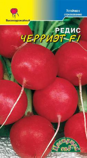 Черриэт/Цветущий Сад