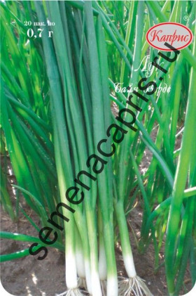 Лук Байя Верде Каприс