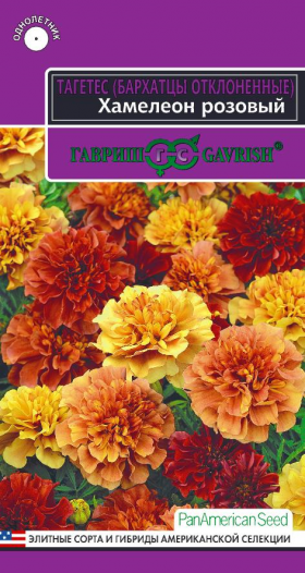 Хамелеон розовый 5шт Ц(Г)