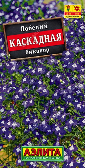 Каскадная биколор Ц(А)