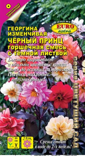 Черный принц смесь Ц(А)