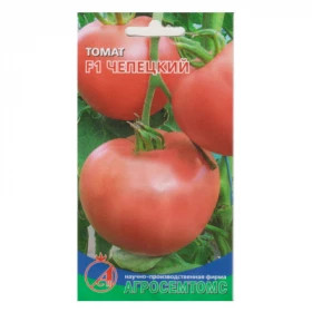 Чепецкий Киров