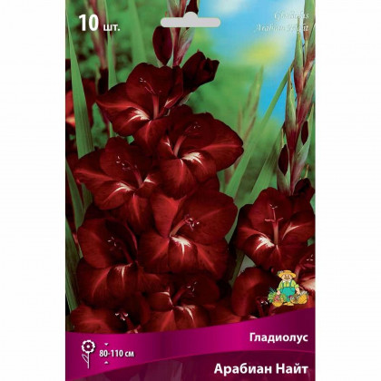 Арабиан Найт 10/12 10шт