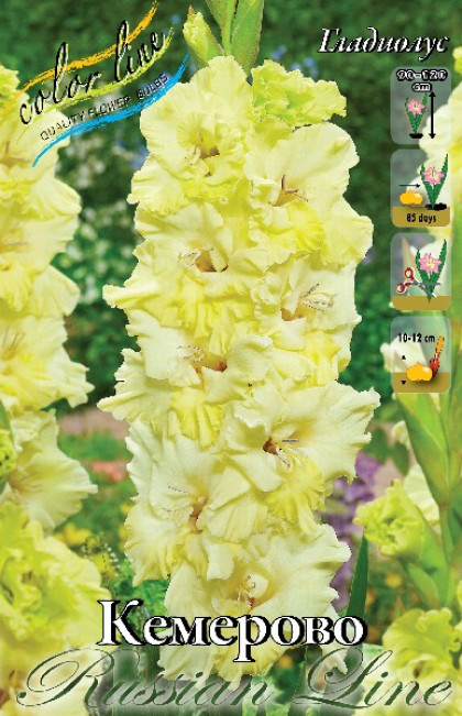 Кемерово (RL-гофр) 10/12 8шт