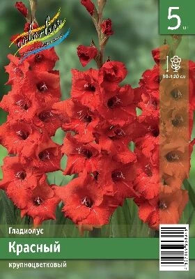 Красный 10/12 10шт