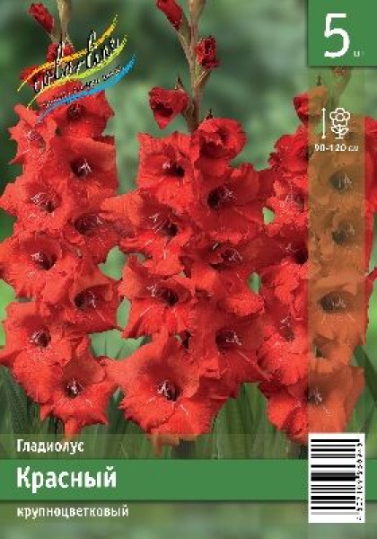 Красный 10/12 10шт