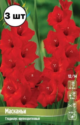 Масканьи 10/12 10шт