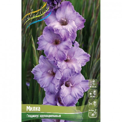 Милка 10/12 10шт