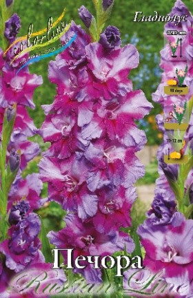 Печора (RL-гофр) 10/12 8шт