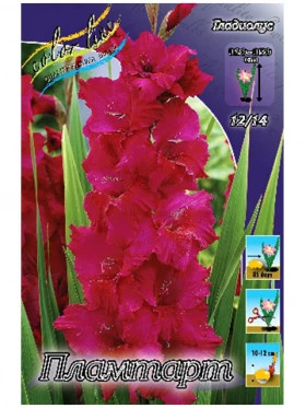 Пламтарт 10/12 10шт