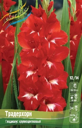 Традерхорн 12/14 7шт