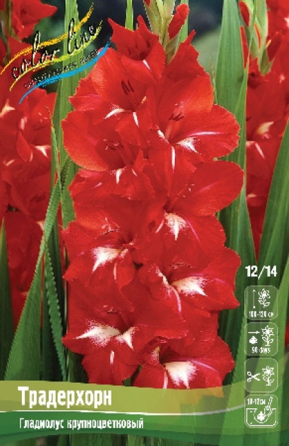 Традерхорн 12/14 7шт