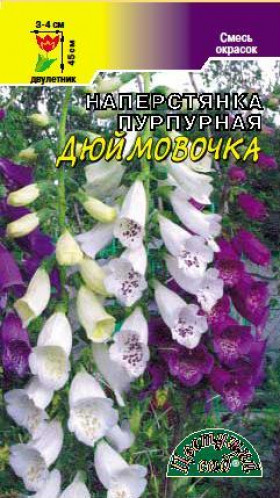 Дюймовочка пурпурная Цветущий сад