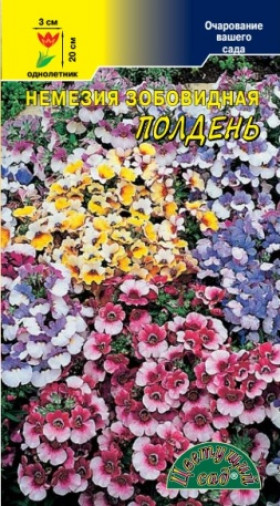 Полдень Цветущий Сад