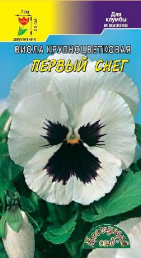 Первый снег/Цветущий Сад