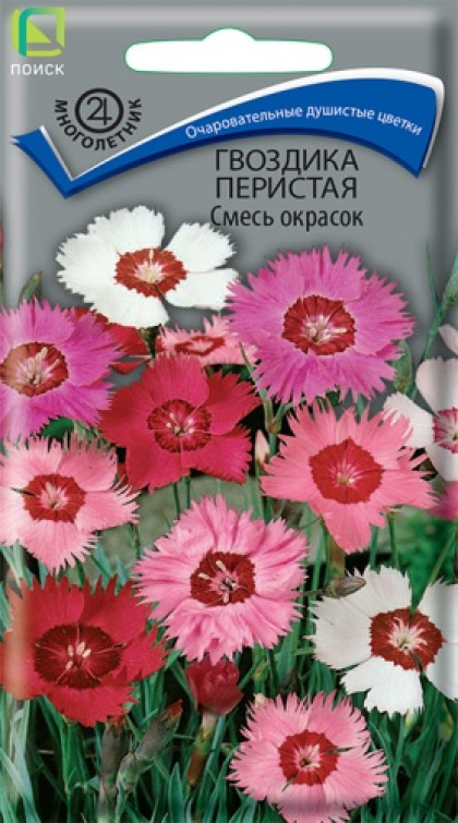 Перистая Смесь Ц(Поиск)